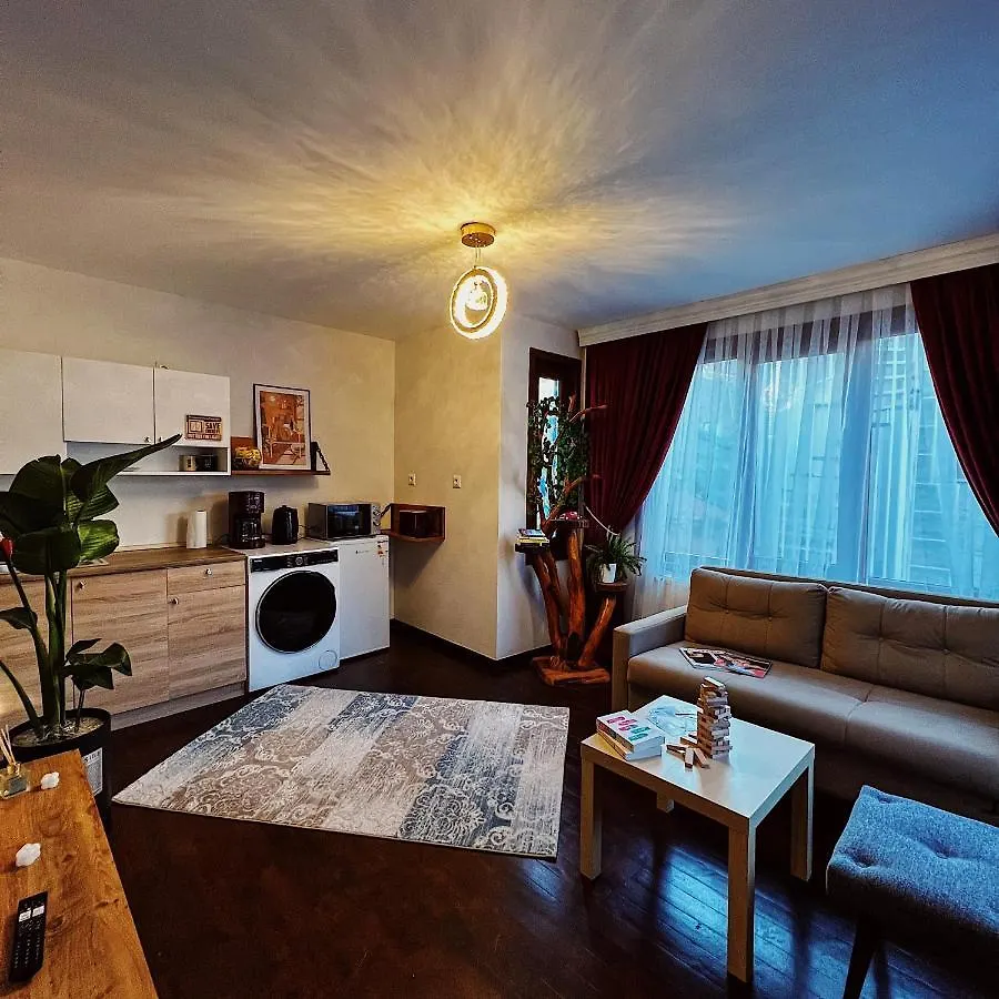 Triplex House With Bridge View Apartment Istanbul