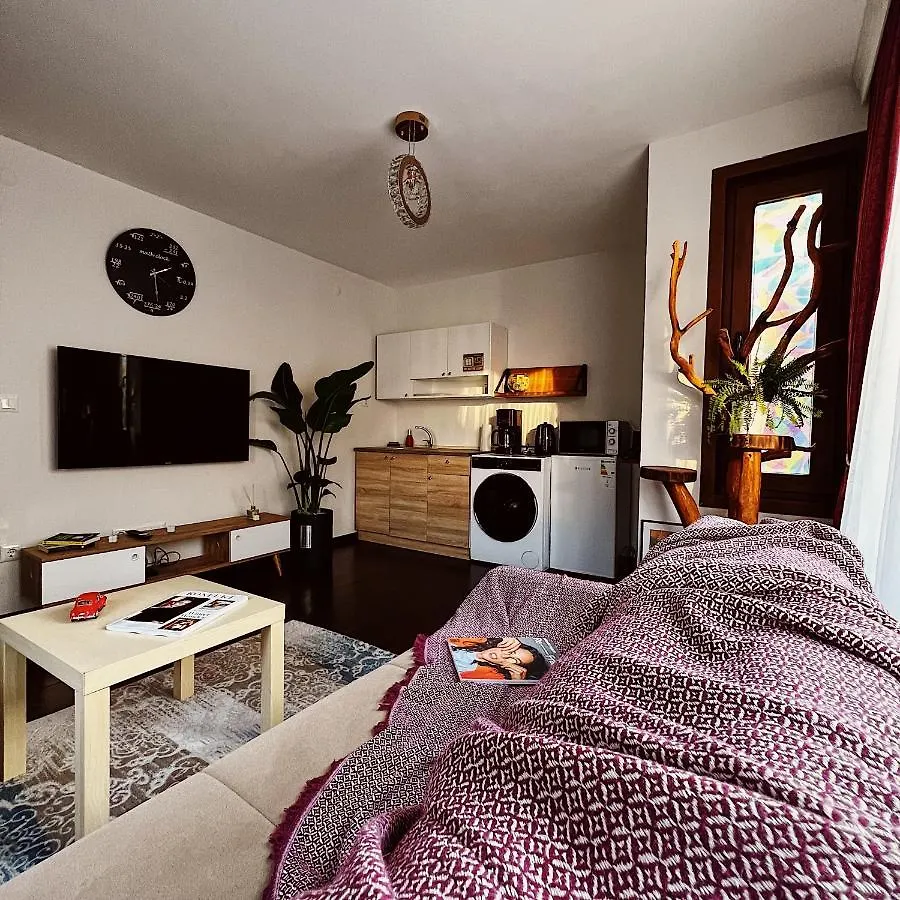 Triplex House With Bridge View Apartment Istanbul