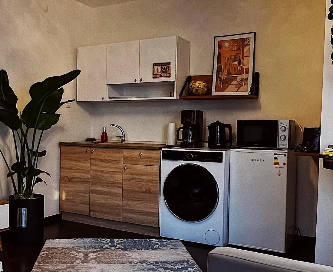 Triplex House With Bridge View Apartment Istanbul Turkey