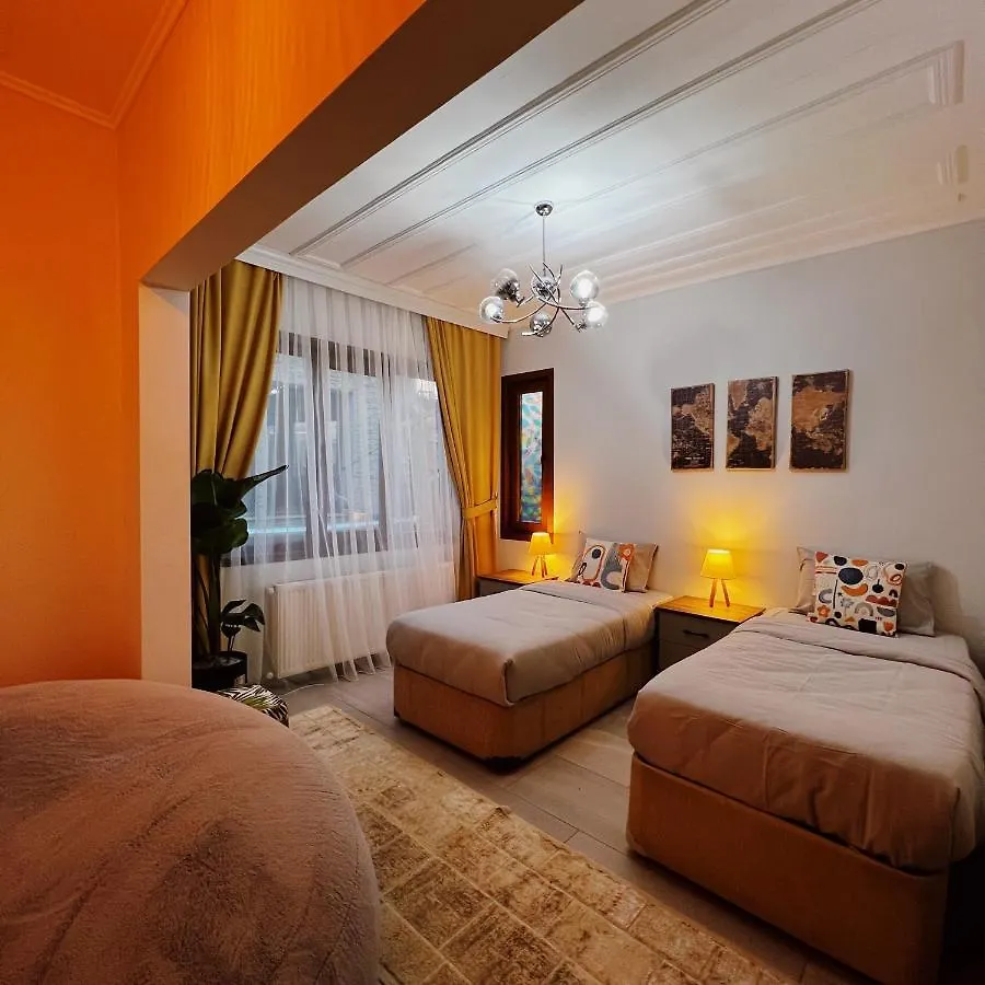 Triplex House With Bridge View Apartment Istanbul 0*,  Turkey